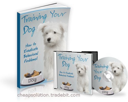Product picture  Proven Ways and Methods You Can Use to Train Your Dog with MRR